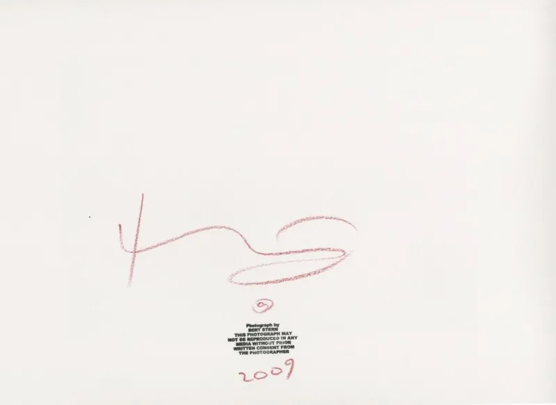 Pamono Marilyn Monroe . Passed out on the bed . The last sitting 2009> Photography