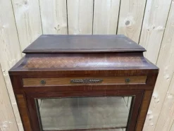 Pamono Marquetry Display Case in Wood><noscript><img width=