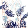 Pamono Max Ernst - Birds - Original Lithograph 1964> Surrealist