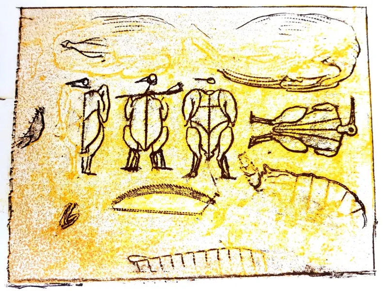 Outlet Pamono Max Ernst - The Soldier - Original Lithograph 1972