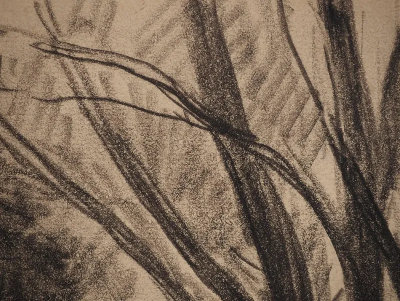 Pamono Maximilien Luce, Pas de Calais, Nature in Méricourt, Original Drawing