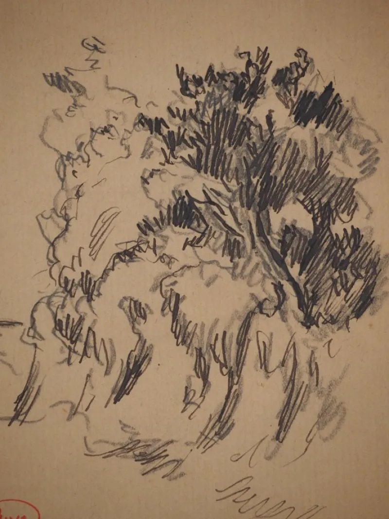 Pamono Maximilien Luce, Roadside Vegetation, Original Signed Drawing> Work On Paper