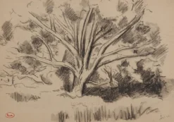 Pamono Maximilien Luce, Study of a Tree, Original Signed Drawing> Work On Paper