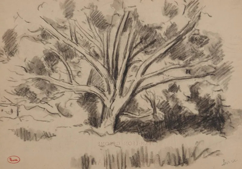 Pamono Maximilien Luce, Study of a Tree, Original Signed Drawing> Work On Paper