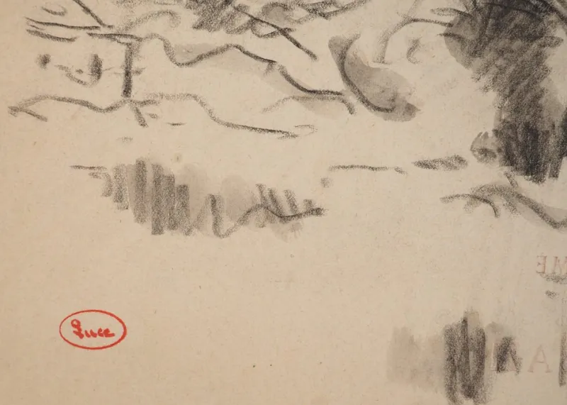 Pamono Maximilien Luce, Study of a Tree, Original Signed Drawing> Work On Paper