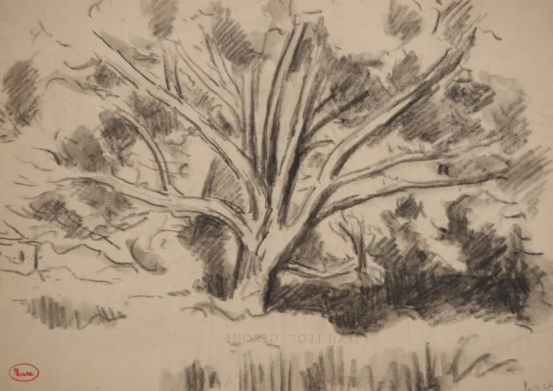 Pamono Maximilien Luce, Study of a Tree, Original Signed Drawing> Work On Paper