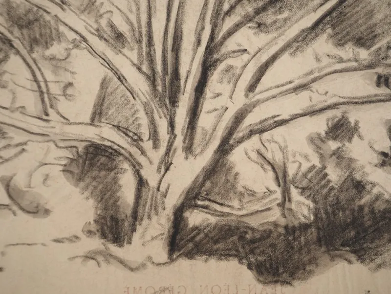 Pamono Maximilien Luce, Study of a Tree, Original Signed Drawing> Work On Paper