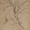 Pamono Maximilien Luce, Tree Branch, Original Signed Drawing> Work On Paper
