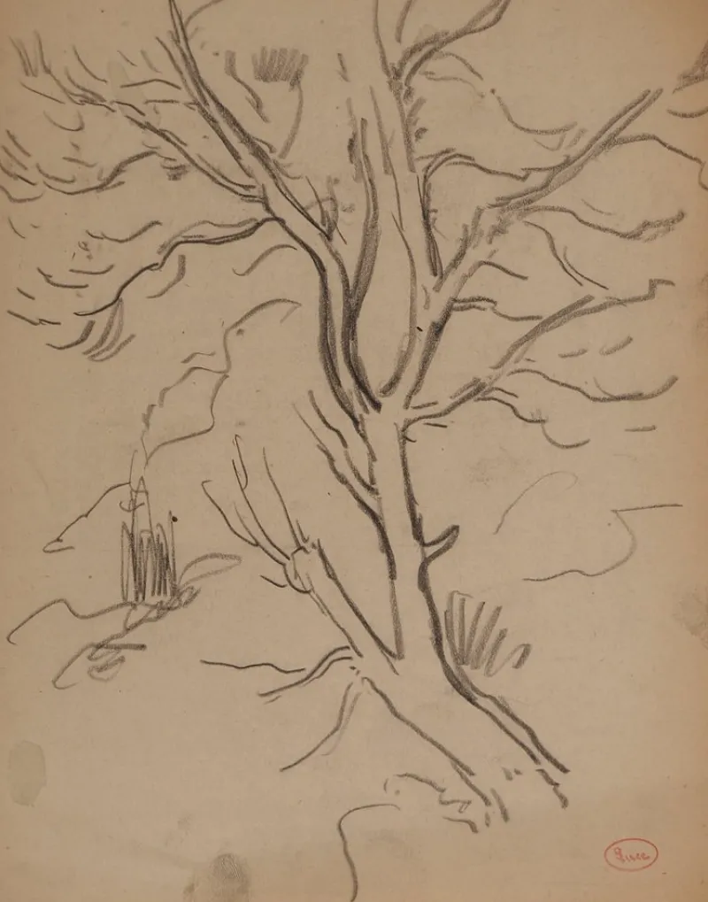 Pamono Maximilien Luce, Tree Branch, Original Signed Drawing> Work On Paper