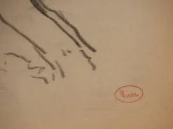 Pamono Maximilien Luce, Tree Branch, Original Signed Drawing> Work On Paper