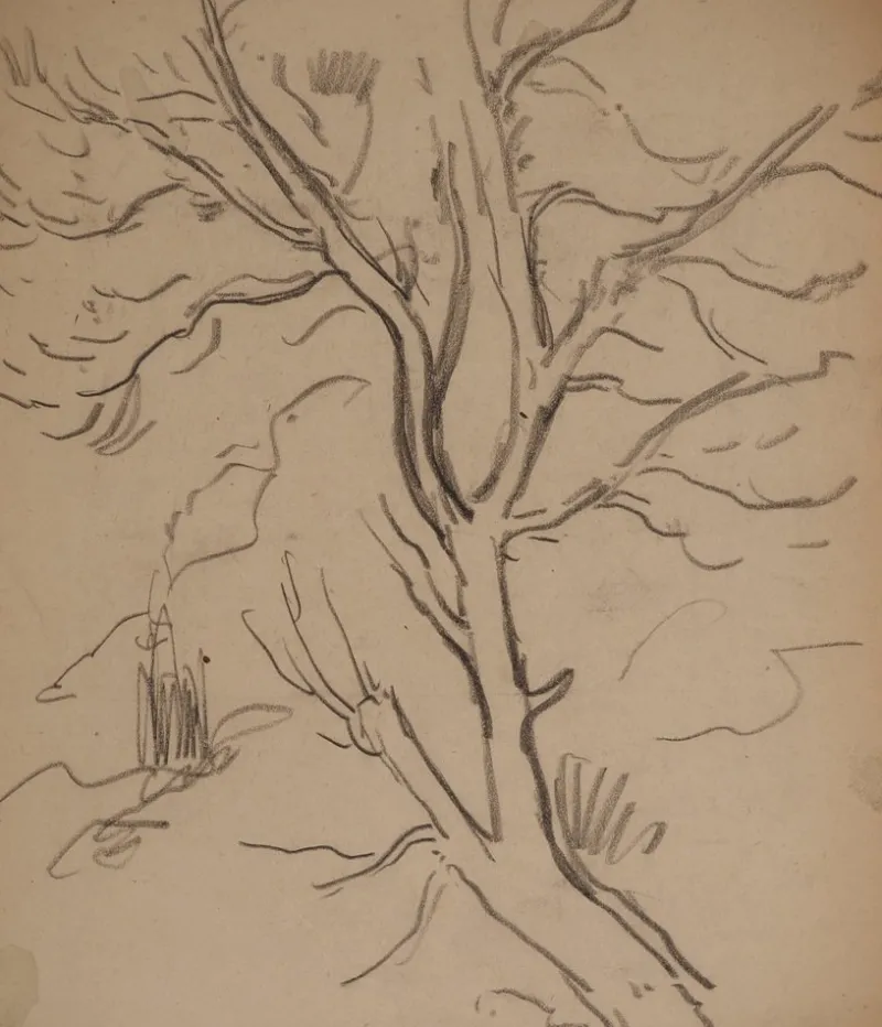 Pamono Maximilien Luce, Tree Branch, Original Signed Drawing> Work On Paper