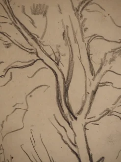 Pamono Maximilien Luce, Tree Branch, Original Signed Drawing><noscript><img width=