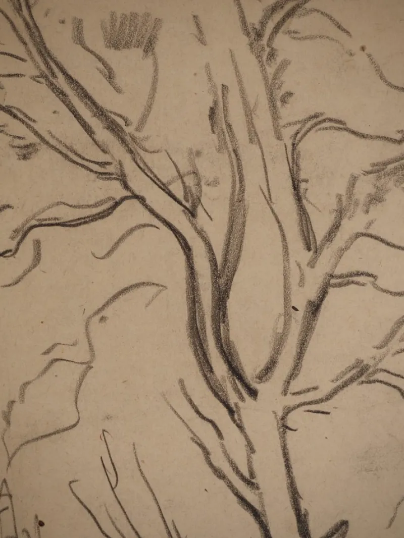 Pamono Maximilien Luce, Tree Branch, Original Signed Drawing> Work On Paper