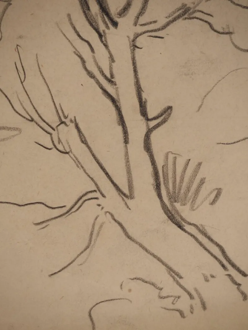 Pamono Maximilien Luce, Tree Branch, Original Signed Drawing> Work On Paper