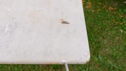 Pamono Metal Garden Table with Newspaper Shelf, 1950s><noscript><img width=