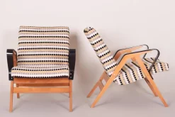 Hot Pamono Mid-Century Czech Armchairs from Tatra Pravenec, 1950s, Set of 2