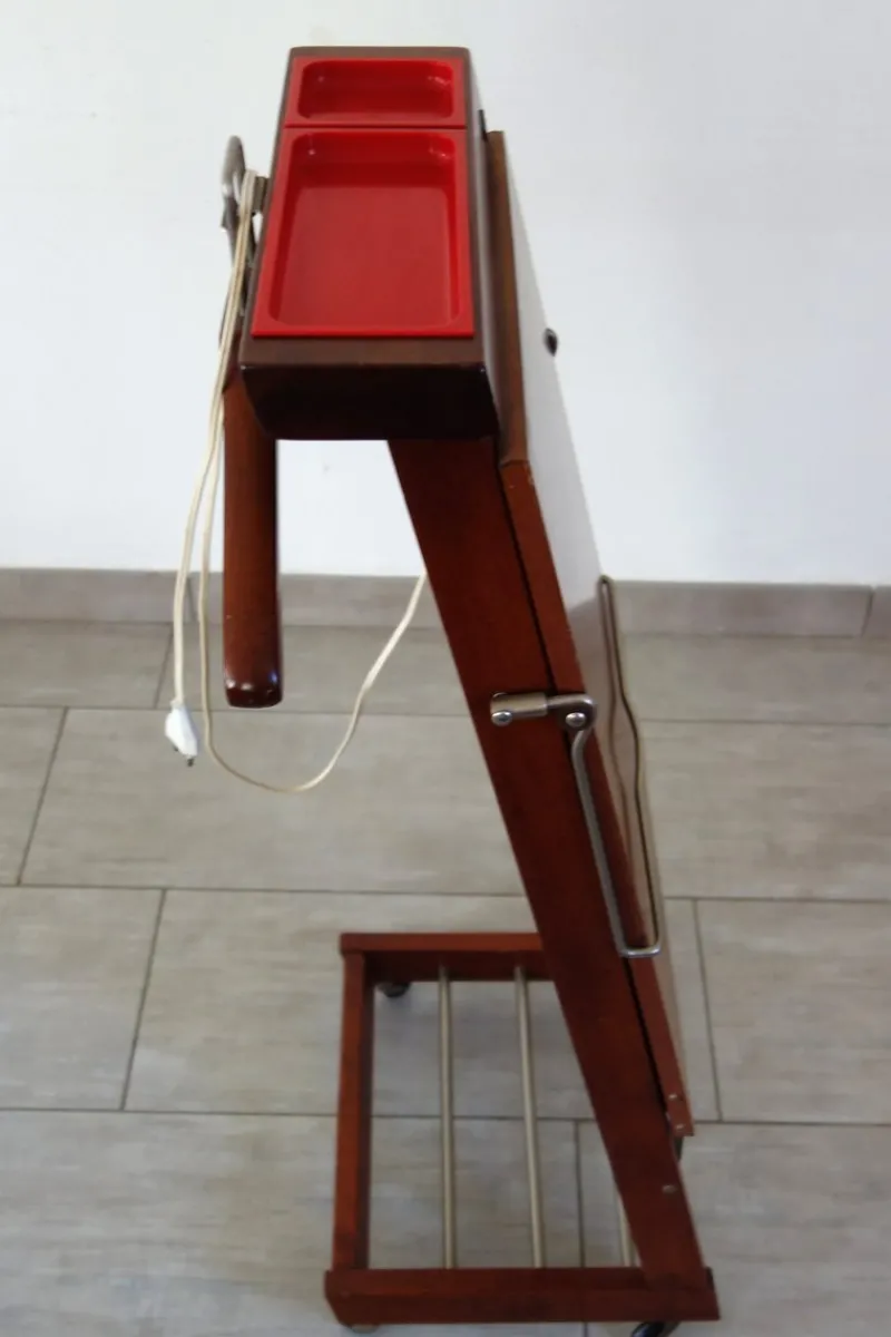 Online Pamono Mid-Century Electric Trouser Press Coat Rack from Fratelli Reguitti, 1960s