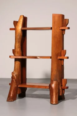 New Pamono Mid-Century French Wooden Bookcase, 1960s