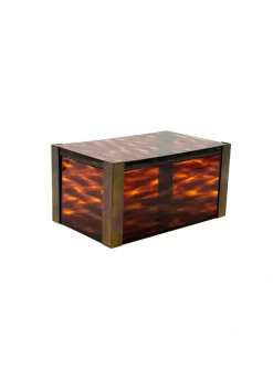 Pamono Mid-Century Modern Acrylic and Brass Jewelry Box, 1970s> Trunks Crates & Baskets