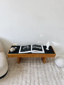 Pamono Mid-Century Modern Console Table by Jitona Soběslav, 1960s> Console Tables