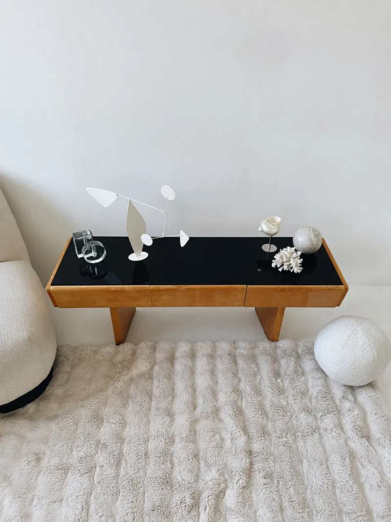 Pamono Mid-Century Modern Console Table by Jitona Soběslav, 1960s> Console Tables