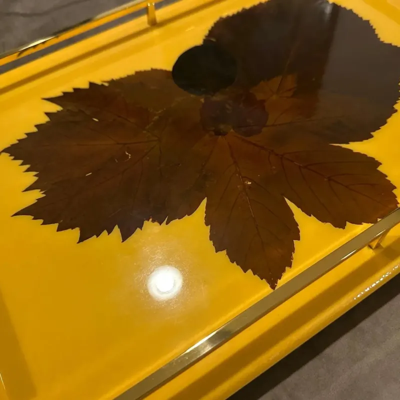 Pamono Mid-Century Modern Italian Lacquered Wood and Brass Serving Tray, 1960s> Trays