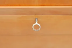 Best Pamono Mid-Century Modern Secretaire, Belgium, 1960s
