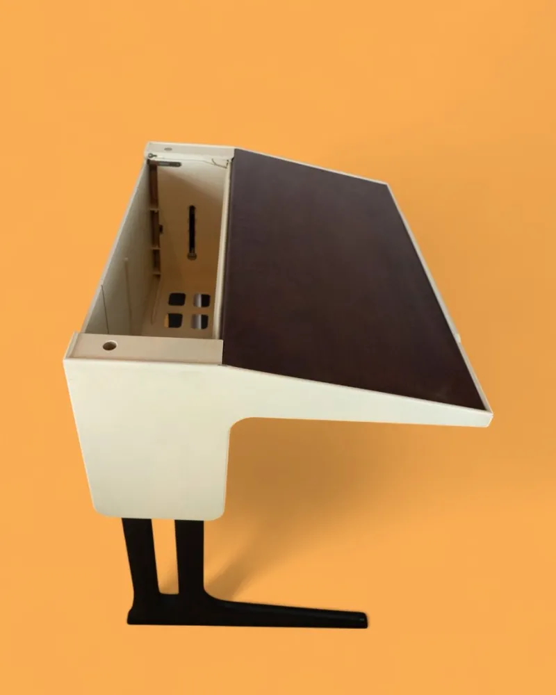 Pamono Mid-Century Modern Space Age Desk in Plastic by Luigi Colani for Flötotto, Germany, 1970s> Desks