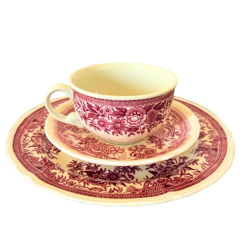Discount Pamono Mid-Century Red Fasan Service in Porcelain from Villeroy & Boch, Germany, 1950s, Set of 13