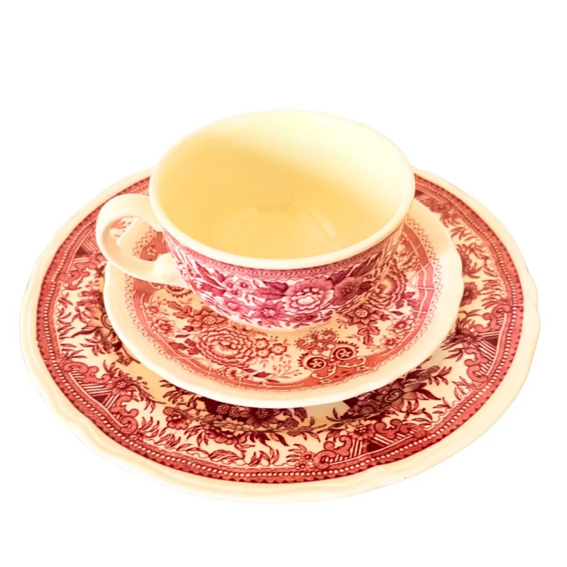 Discount Pamono Mid-Century Red Fasan Service in Porcelain from Villeroy & Boch, Germany, 1950s, Set of 13