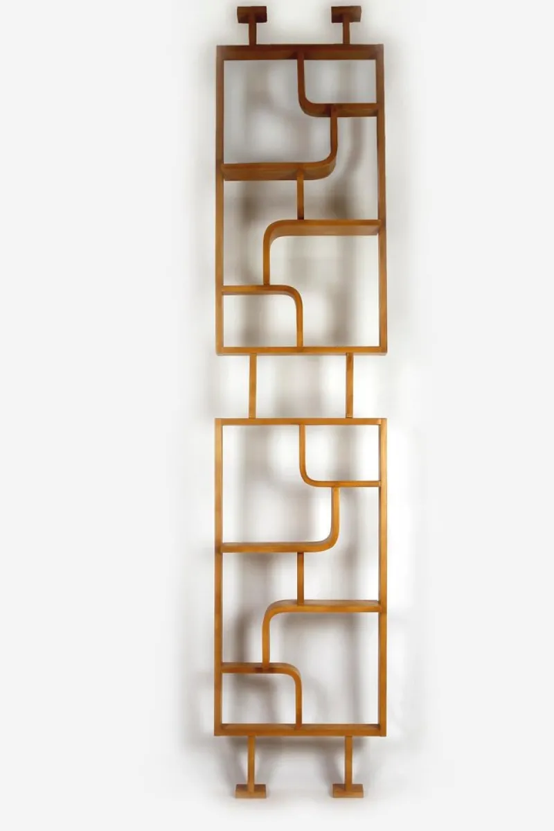 Hot Pamono Mid-Century Room Divider attributed to Ludvik Volak for Drevopodnik Holesov, 1960s