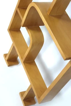 Hot Pamono Mid-Century Room Divider attributed to Ludvik Volak for Drevopodnik Holesov, 1960s