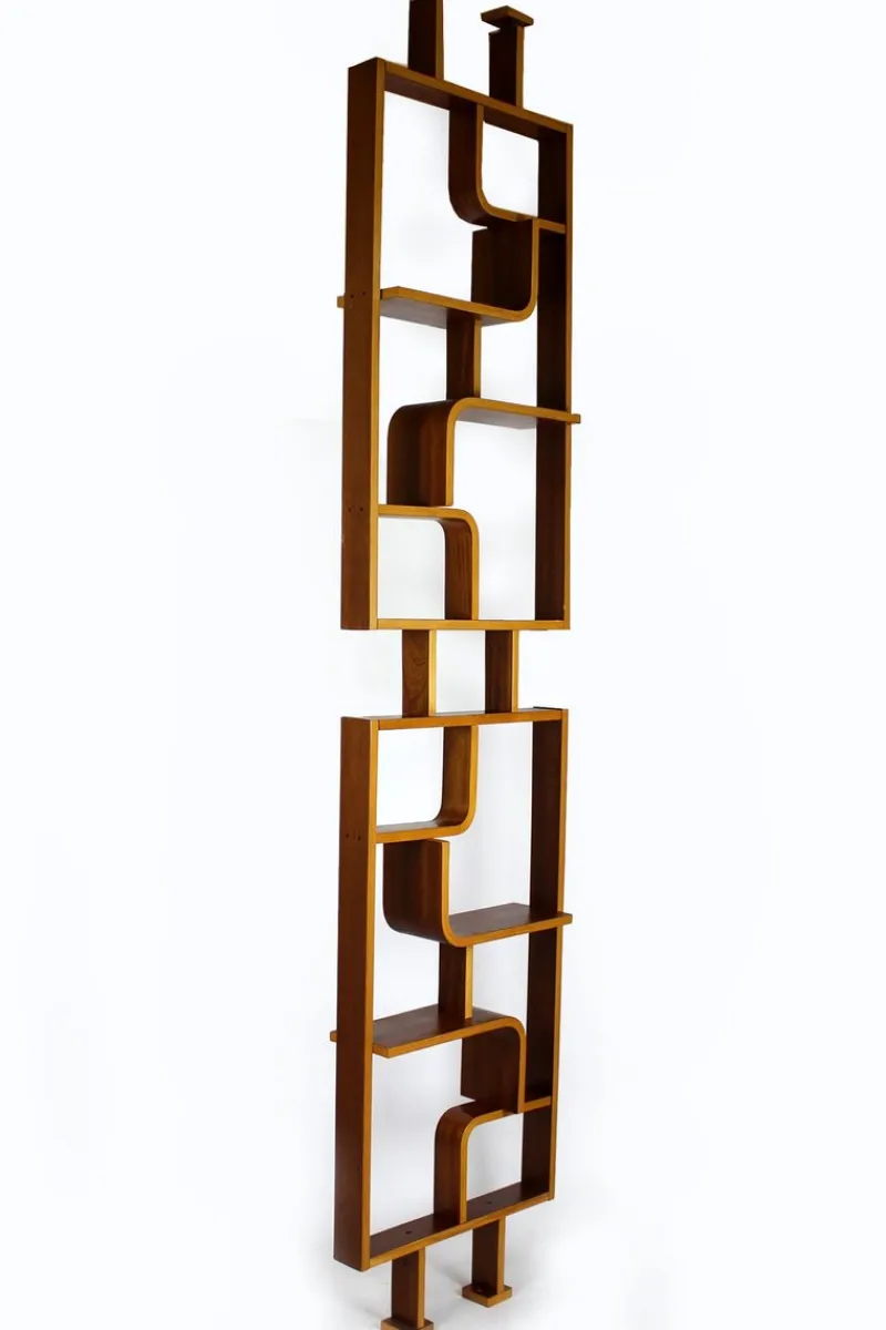 Discount Pamono Mid-Century Room Divider attributed to Ludvik Volak for Drevopodnik Holesov, 1960s