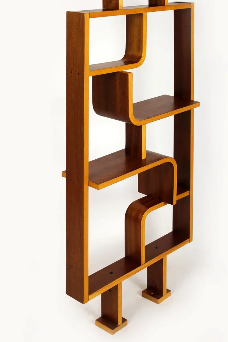 Discount Pamono Mid-Century Room Divider attributed to Ludvik Volak for Drevopodnik Holesov, 1960s