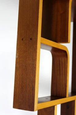 Discount Pamono Mid-Century Room Divider attributed to Ludvik Volak for Drevopodnik Holesov, 1960s