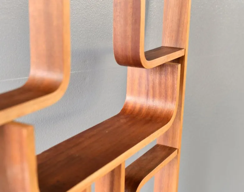 New Pamono Mid-Century Room Divider by Ludvik Volak, 1960s