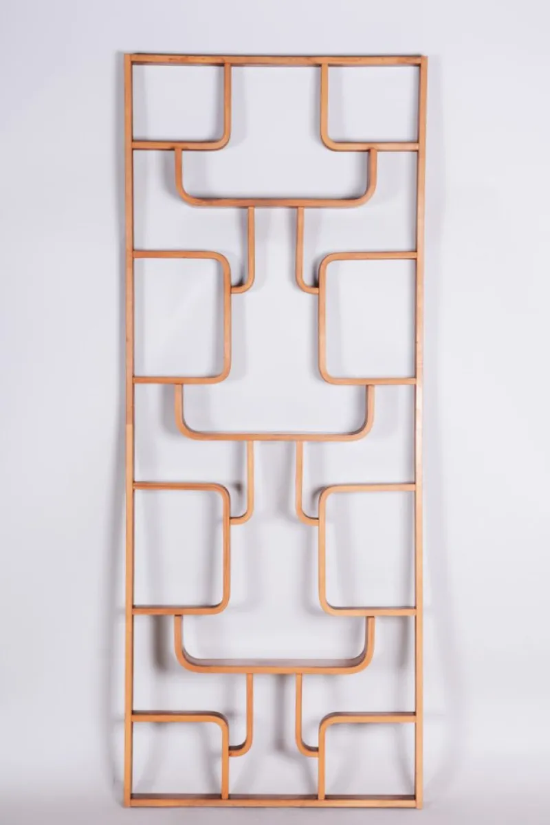 Outlet Pamono Mid-Century Room Divider in Mahogany attributed to Ludvik Volak for Drevopodnik Holesov, Former Czechoslovakia, 1960s