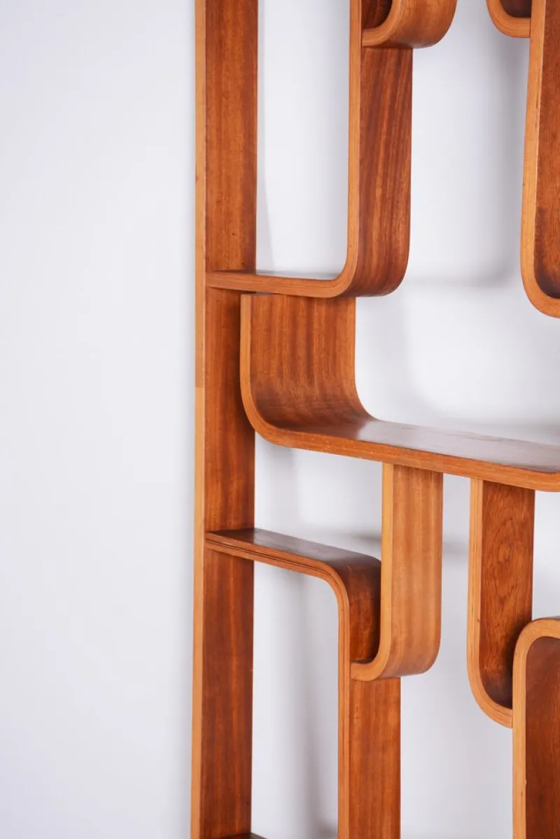 Outlet Pamono Mid-Century Room Divider in Mahogany attributed to Ludvik Volak for Drevopodnik Holesov, Former Czechoslovakia, 1960s