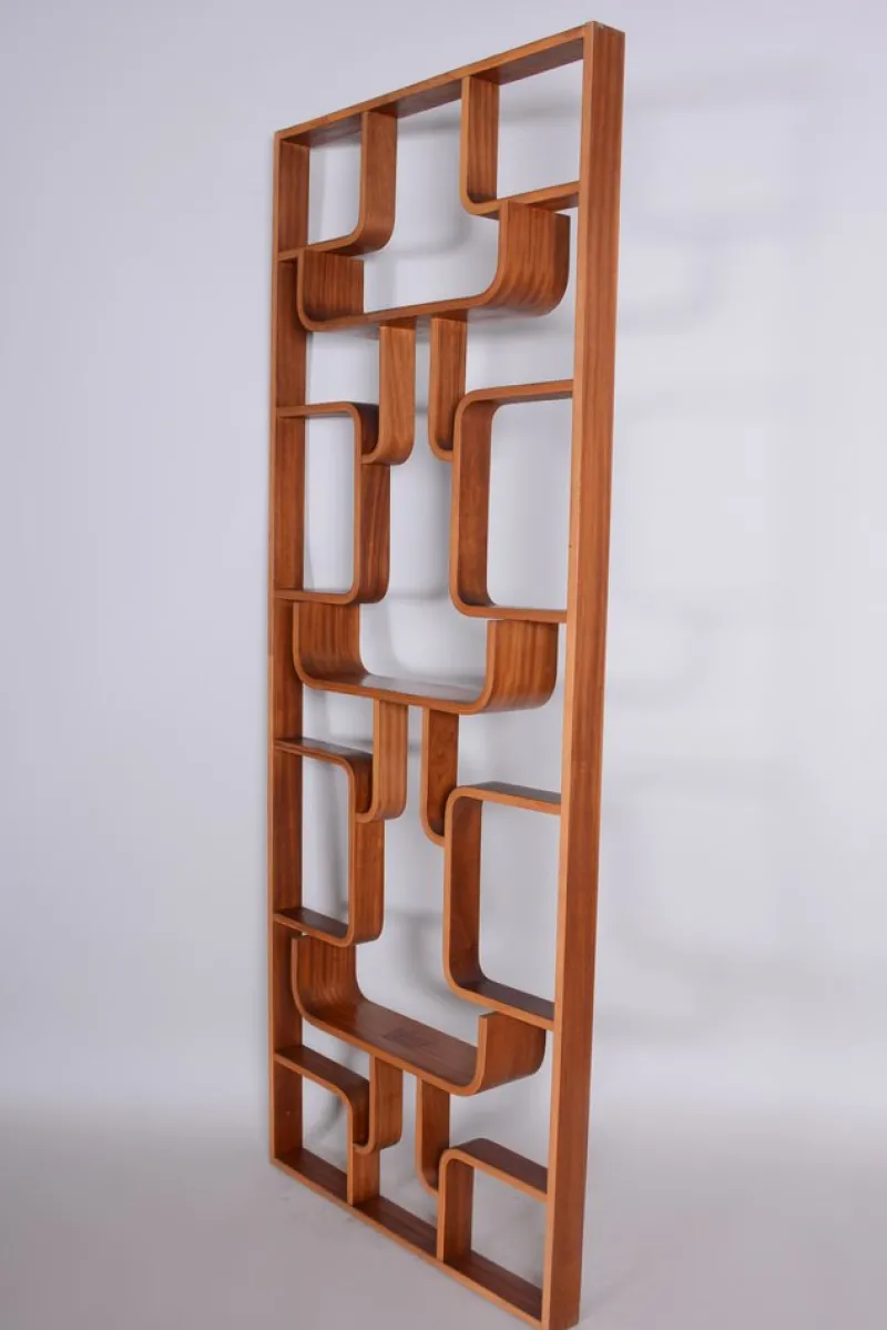 Outlet Pamono Mid-Century Room Divider in Mahogany attributed to Ludvik Volak for Drevopodnik Holesov, Former Czechoslovakia, 1960s