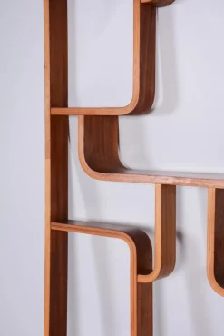 Outlet Pamono Mid-Century Room Divider in Mahogany attributed to Ludvik Volak for Drevopodnik Holesov, Former Czechoslovakia, 1960s