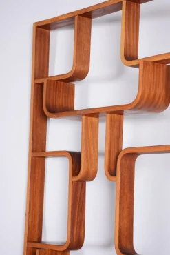Outlet Pamono Mid-Century Room Divider in Mahogany attributed to Ludvik Volak for Drevopodnik Holesov, Former Czechoslovakia, 1960s