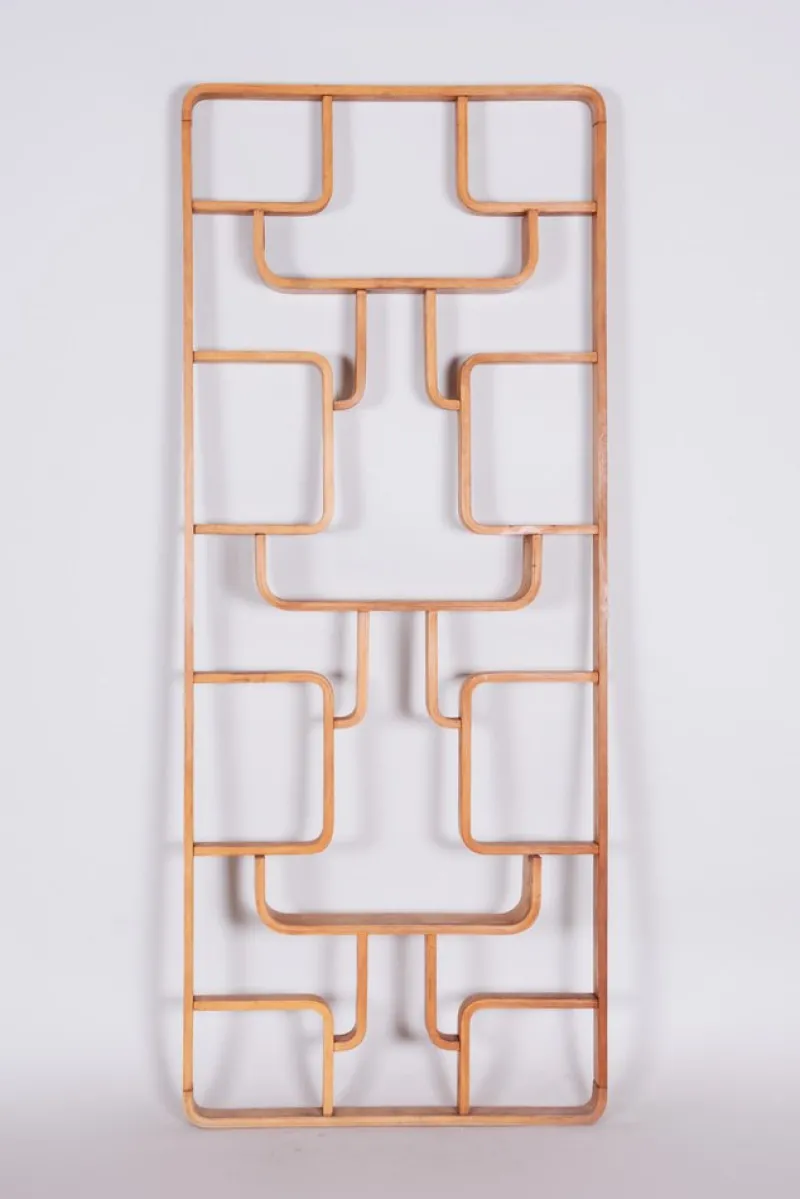 Hot Pamono Mid-Century Room Divider in Ash attributed to Ludvik Volak for Drevopodnik Holesov, Former Czechoslovakia, 1960s