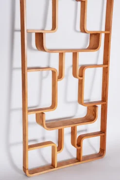 Hot Pamono Mid-Century Room Divider in Ash attributed to Ludvik Volak for Drevopodnik Holesov, Former Czechoslovakia, 1960s