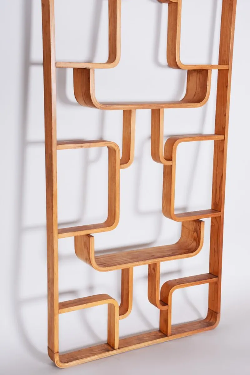 Hot Pamono Mid-Century Room Divider in Ash attributed to Ludvik Volak for Drevopodnik Holesov, Former Czechoslovakia, 1960s