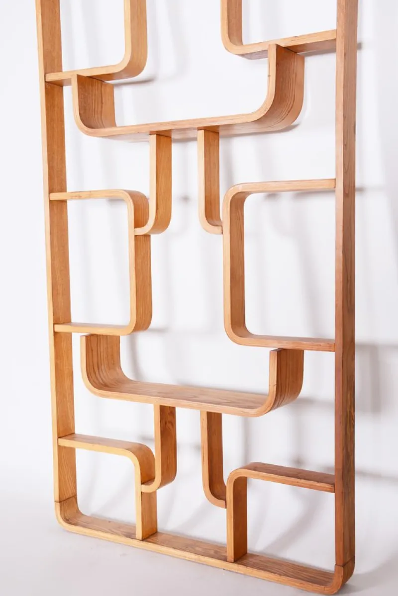 Hot Pamono Mid-Century Room Divider in Ash attributed to Ludvik Volak for Drevopodnik Holesov, Former Czechoslovakia, 1960s