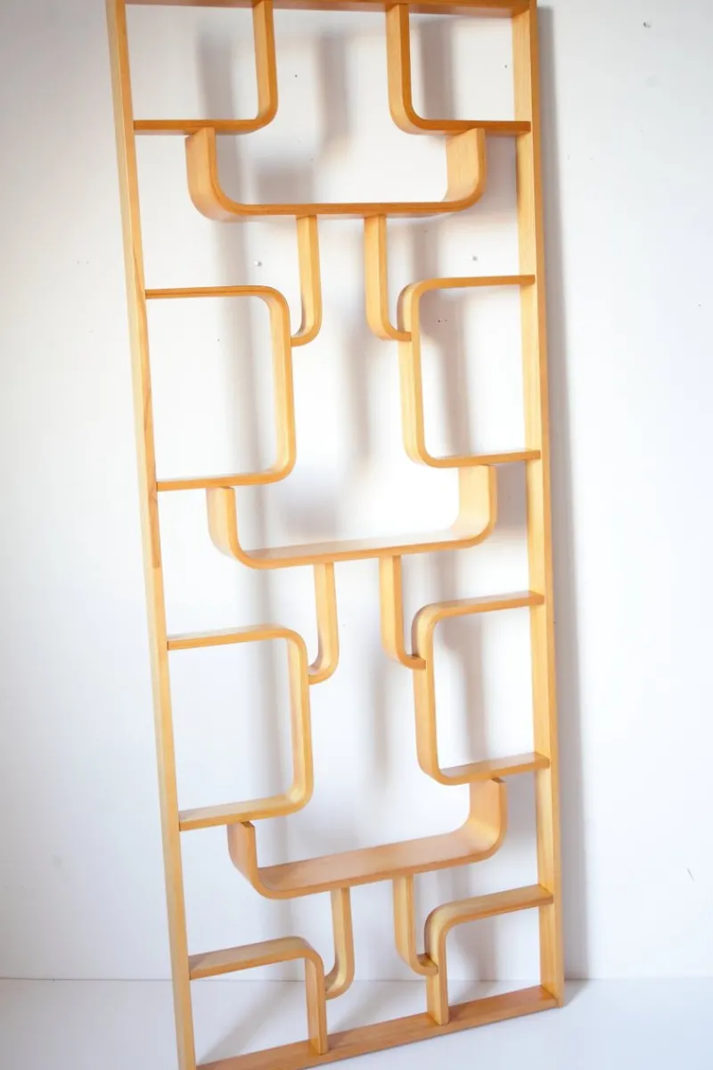Pamono Mid-Century Wall or Room Dividers by Ludvik Volak for Drevopodnik Holesov, 1970s, Set of 2