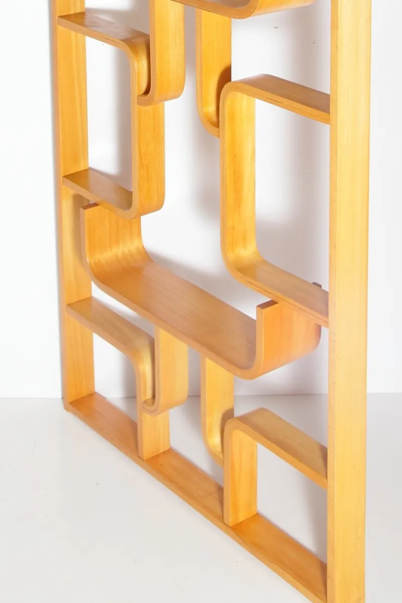 Pamono Mid-Century Wall or Room Dividers by Ludvik Volak for Drevopodnik Holesov, 1970s, Set of 2