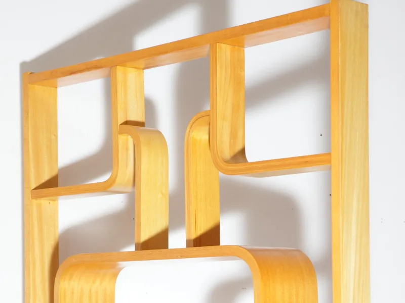 Pamono Mid-Century Wall or Room Dividers by Ludvik Volak for Drevopodnik Holesov, 1970s, Set of 2