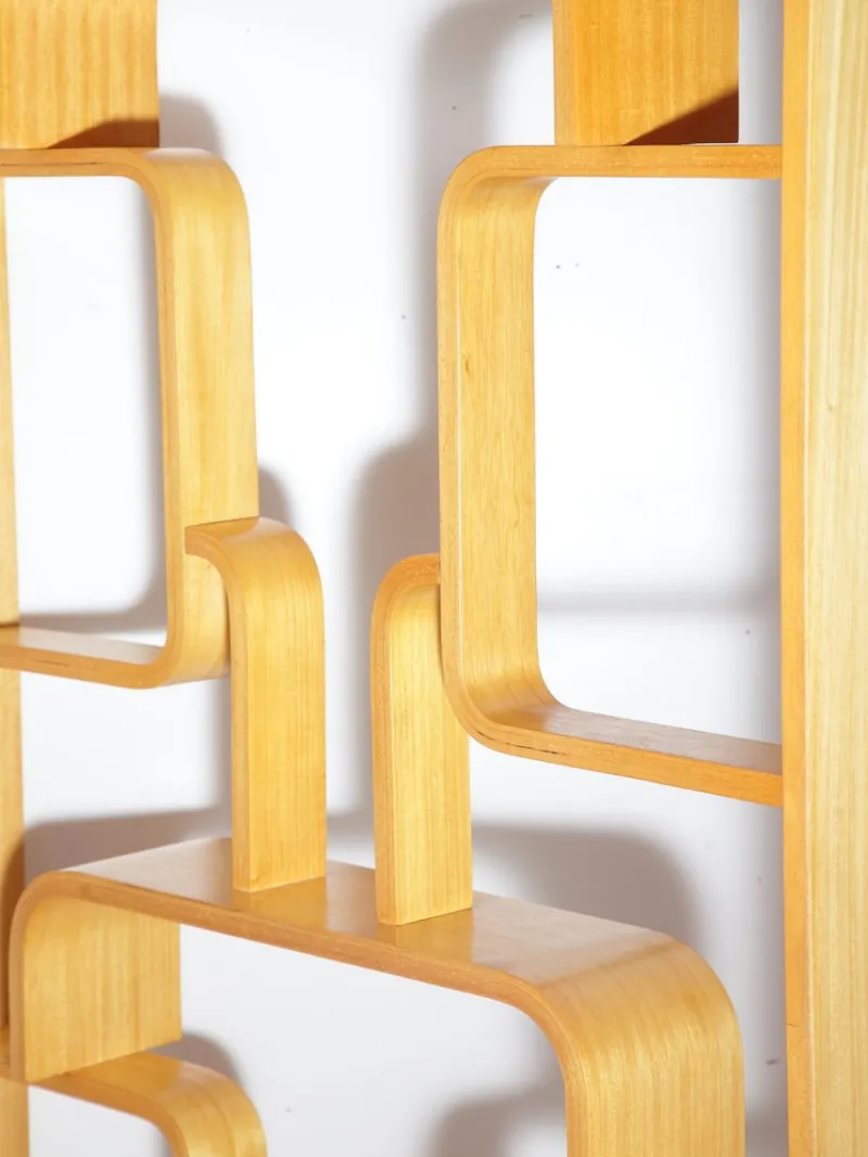 Pamono Mid-Century Wall or Room Dividers by Ludvik Volak for Drevopodnik Holesov, 1970s, Set of 2
