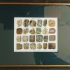 Pamono Minerals and Rocks. Encyclopedic Graphics, Germany, Chromolithograph> Classical